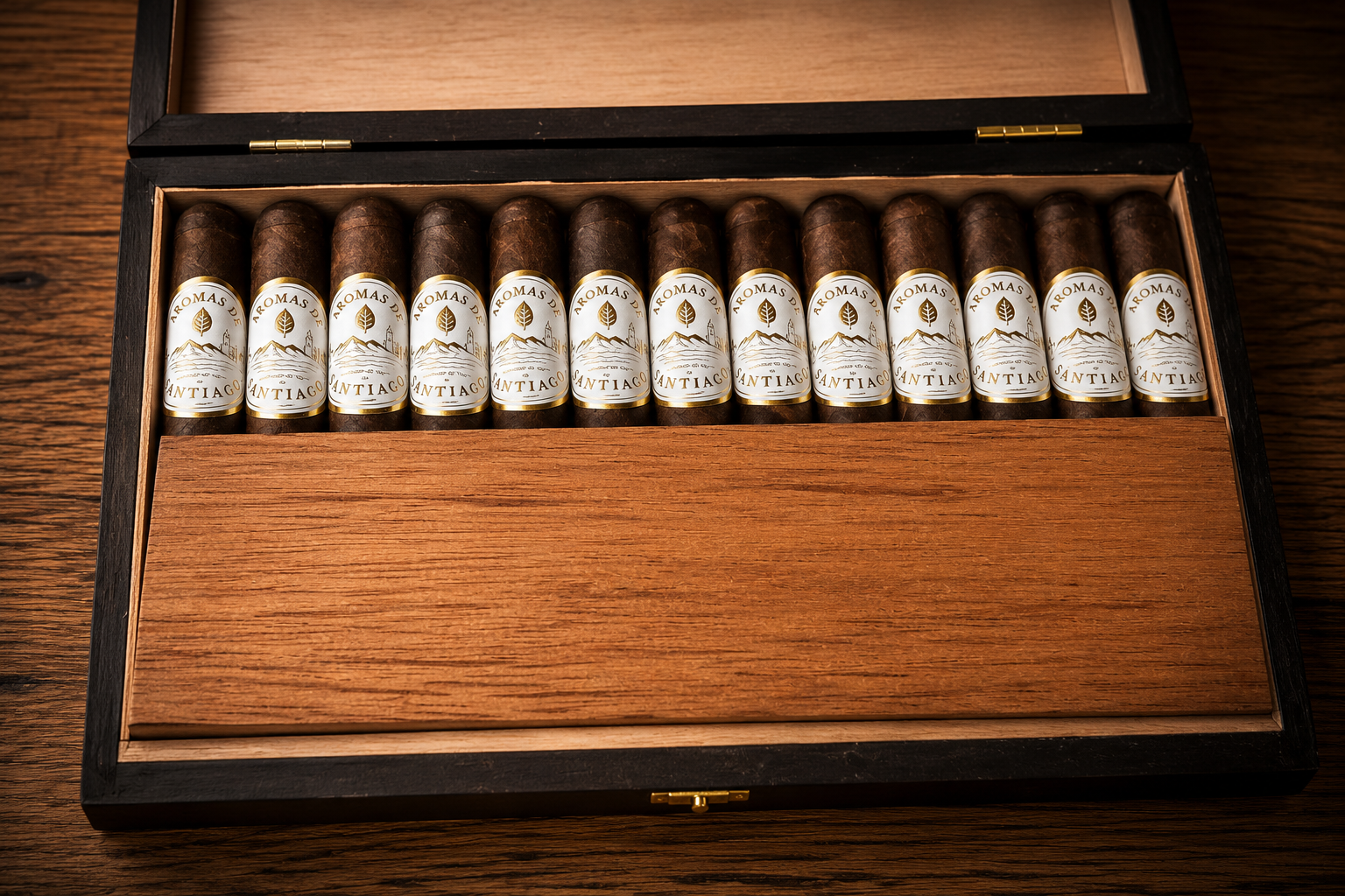 Aromas de Santiago Robusto Maduro